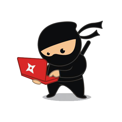 Ninja with computer 